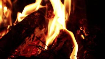 Bonfire burning firewood in camping outdoor  at night with blurred background and sensitive focus. video