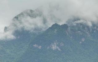 beautiful mountain scenery ,forest and misty photo