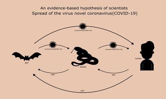 sombra, una hipótesis basada en la evidencia de los científicos que propagan el nuevo virus coronavirus. el murciélago se contagia a la serpiente, la serpiente se contagia a las personas, las personas que comen serpientes o murciélagos. vector