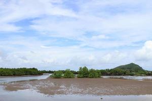 Shellfish farm, Thailand photo