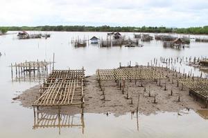 granja de mariscos, Tailandia foto