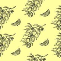 A lemon tree branch with lemons, flowers and leaves. Seamless pattern, background. Contour hand drawing of a vector illustration.