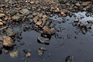 Oil spill on the sea shore photo