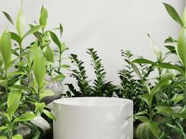 White circle pedestal in tropical forest for product presentation and white wall.