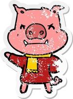 distressed sticker of a angry cartoon pig in winter clothes vector