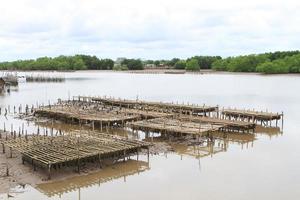 Shellfish farm, Thailand photo