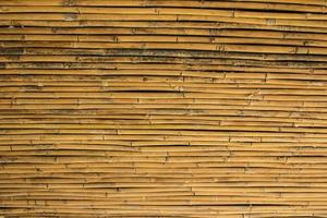 bamboo fence background photo