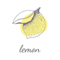 plantilla de logotipo vectorial con un contorno dibujado a mano. boceto de logotipo cítrico, limón, botánico, floral sobre fondo beige. diseño de tarjeta de visita. vector