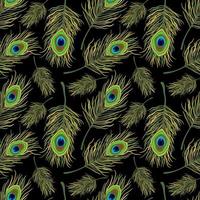 Vector seamless pattern with peacock feathers.