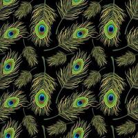 Vector seamless pattern with peacock feathers.