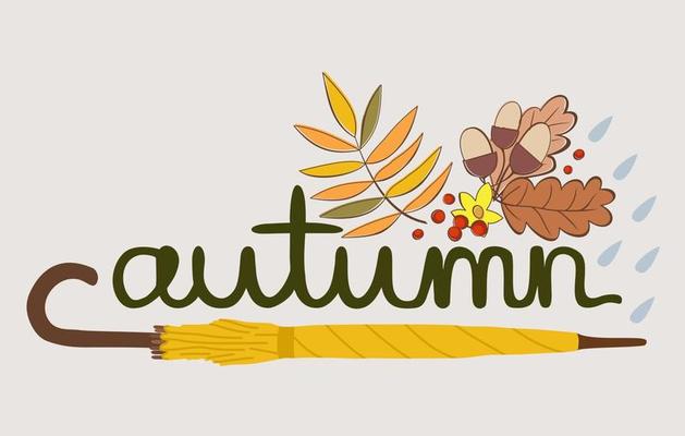 Vector isolated illustration of yellow umbrella, autumn leaves and rain drops with lettering. Autumn.