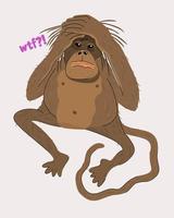 Vector isolated illustration of sad monkey. WTF.