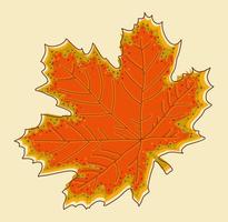 Vector isolated illustration of maple leaf.