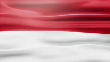 animación de bandera ondeante de indonesia video