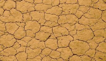 Brown soil background , Bad dry environment vector wallpaper concept