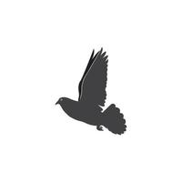 pigeon icon vector illustration template design