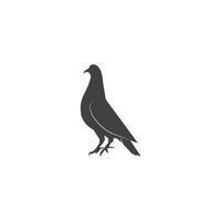 pigeon icon vector illustration template design