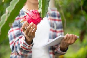 Los jóvenes agricultores están investigando e investigando la enfermedad de la fruta del dragón que está a punto de madurar. foto