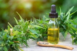 Hemp oil, Medical marijuana products including cannabis leaf,  cbd  and hash oil, alternative medicine photo