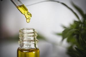 las manos de los científicos arrojando aceite de marihuana para experimentación e investigación, aceite de cbd farmacéutico a base de plantas de cáñamo ecológico de un frasco. foto