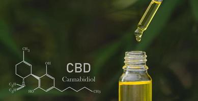 CBD droplet dosing a biological and ecological hemp plant herbal pharmaceutical cbd oil from a jar. Concept of herbal alternative medicine, cbd oil, medical science. photo