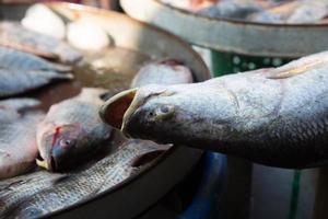 fresh seafood on the market in Thailand photo