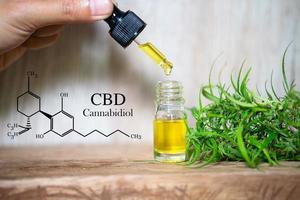 CBD elements in Cannabis,  droplet dosing a biological and ecological hemp plant herbal pharmaceutical cbd oil from a jar. Concept of herbal alternative medicine. photo