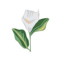 icono de flor plana vector