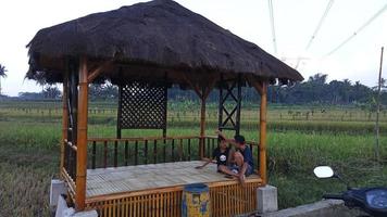 gazebo in the rice field photo