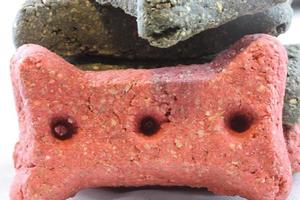 A close up of a red dog biscuit photo