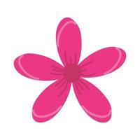 natural pink flower vector