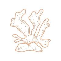 coral vector icon