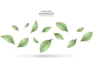 Green leaves background with copy space vector