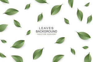 Green leaves background with copy space vector