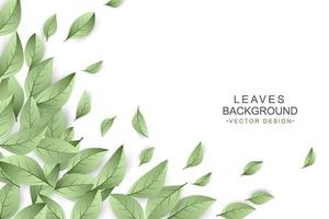 Green leaves background with copy space vector