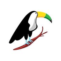 toucan in branch vector