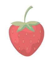 fruit strawberry icon vector