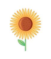 sunflower cartoon icon vector