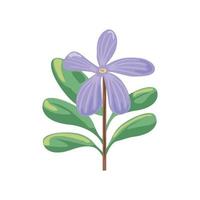 flower and foliage vector