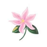 pink flower nature vector