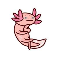 axolotl on white background vector