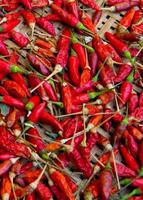 dried red pepper photo