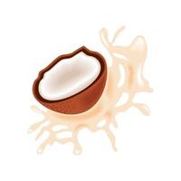 coconut fresh splash vector