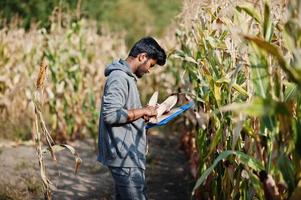 agricultor agrónomo del sur de asia inspeccionando la granja de campo de maíz. concepto de producción agrícola. foto