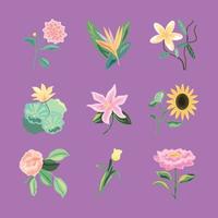 set of flowers vector