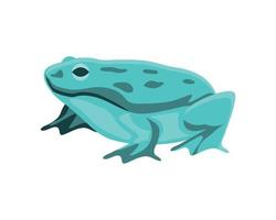 green frog icon vector
