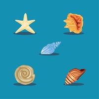 sea shells set vector