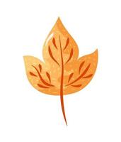 autumn dry leaf vector