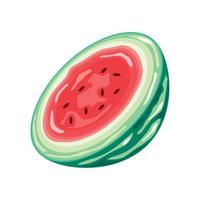 half watemelon fruit vector