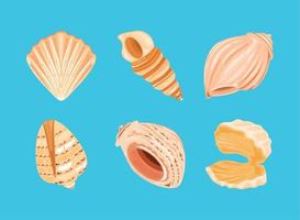 set of shells vector